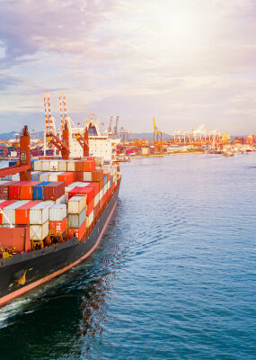 Gaint Logistics Pvt. Ltd.